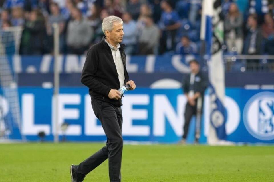 BVB-Coach BVB-Coach