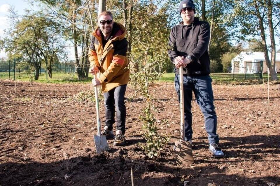 «Fame Forest» «Fame Forest»
