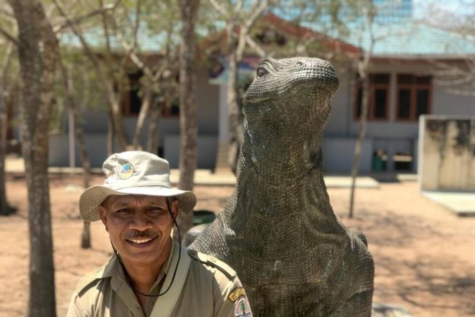 Insel Komodo Insel Komodo