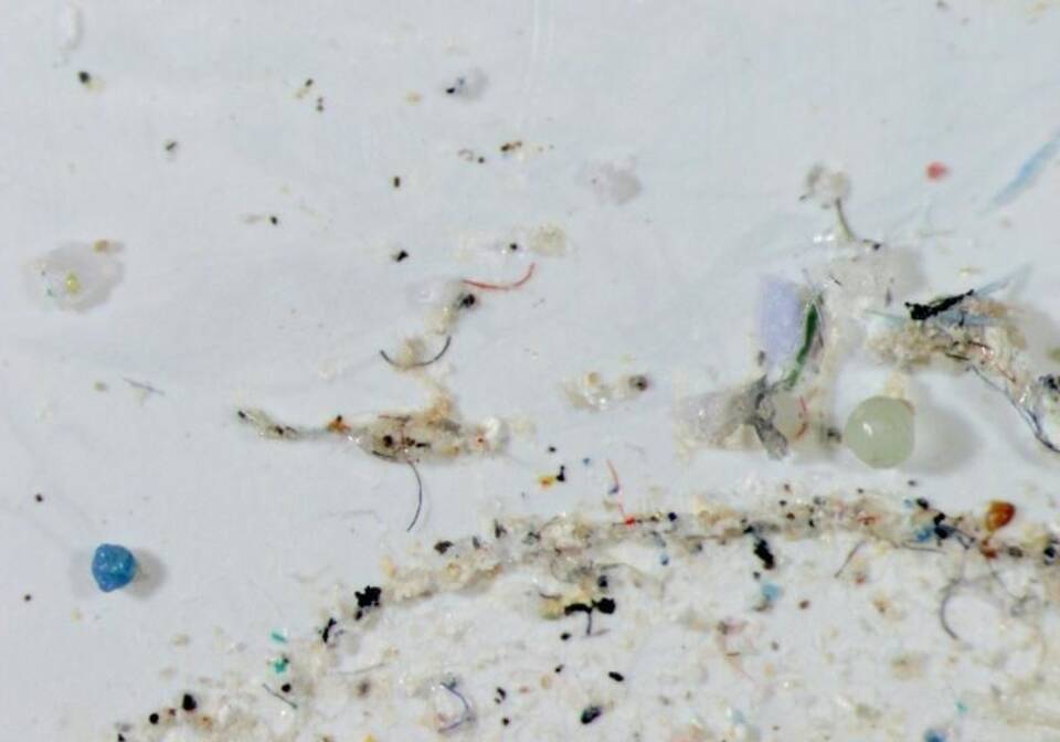 Mikroplastik