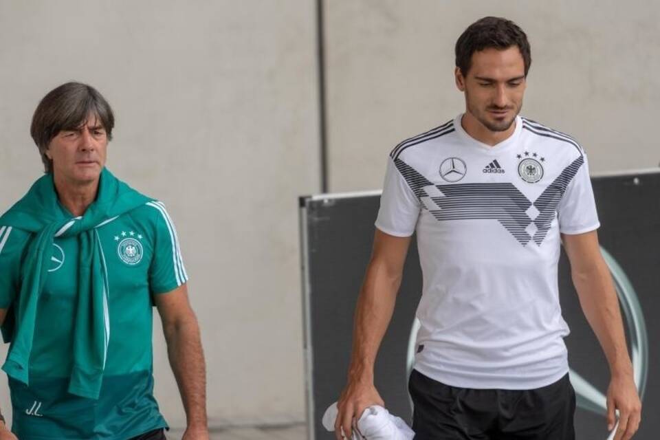 Löw und Hummels