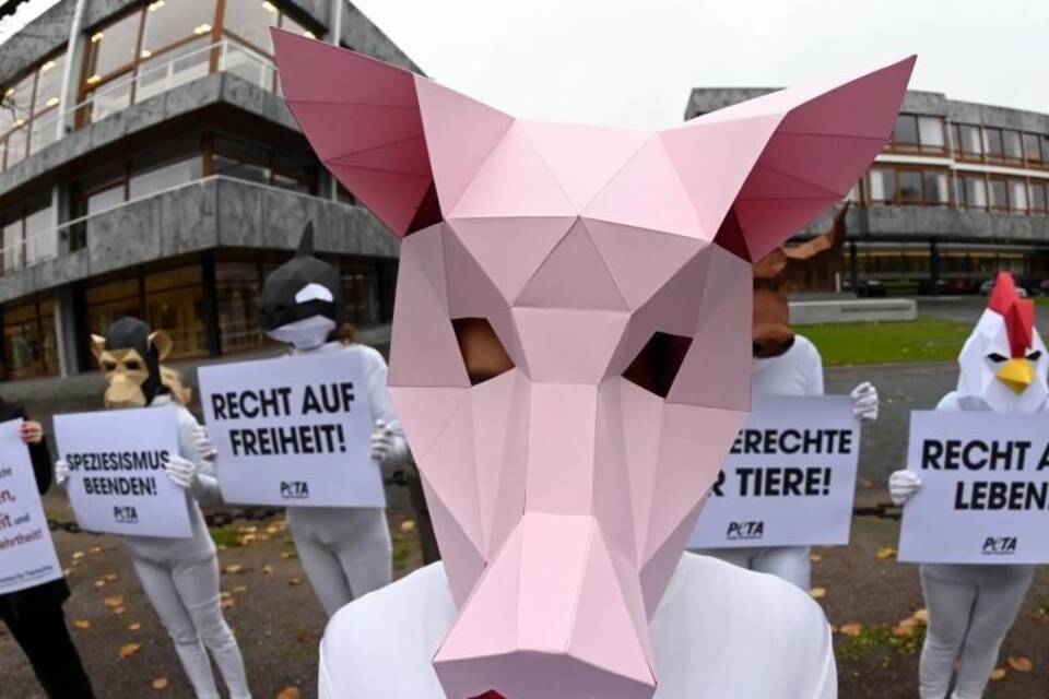 Peta-Protest Peta-Protest