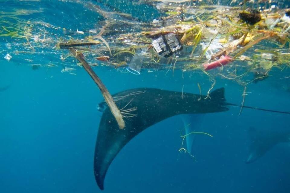 Mikroplastik im Meer