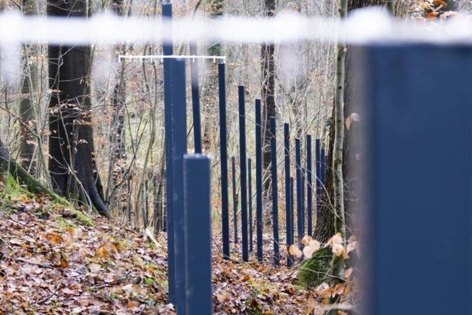 Wildschweinzaun Wildschweinzaun
