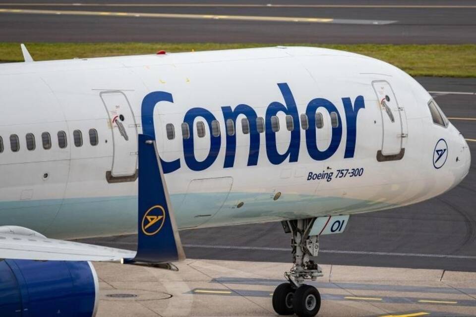 Condor Condor