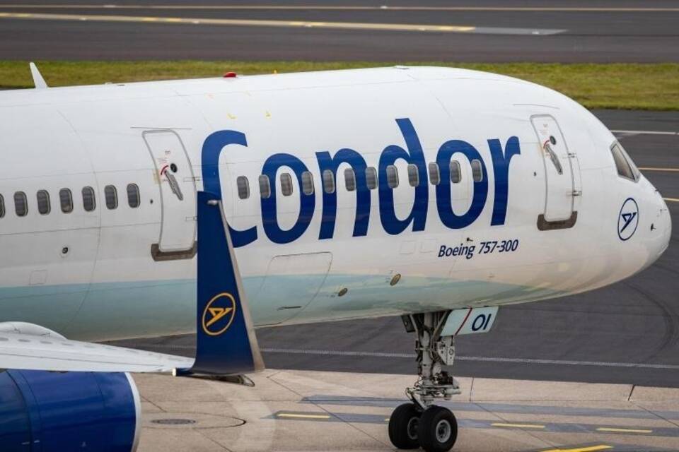 Condor