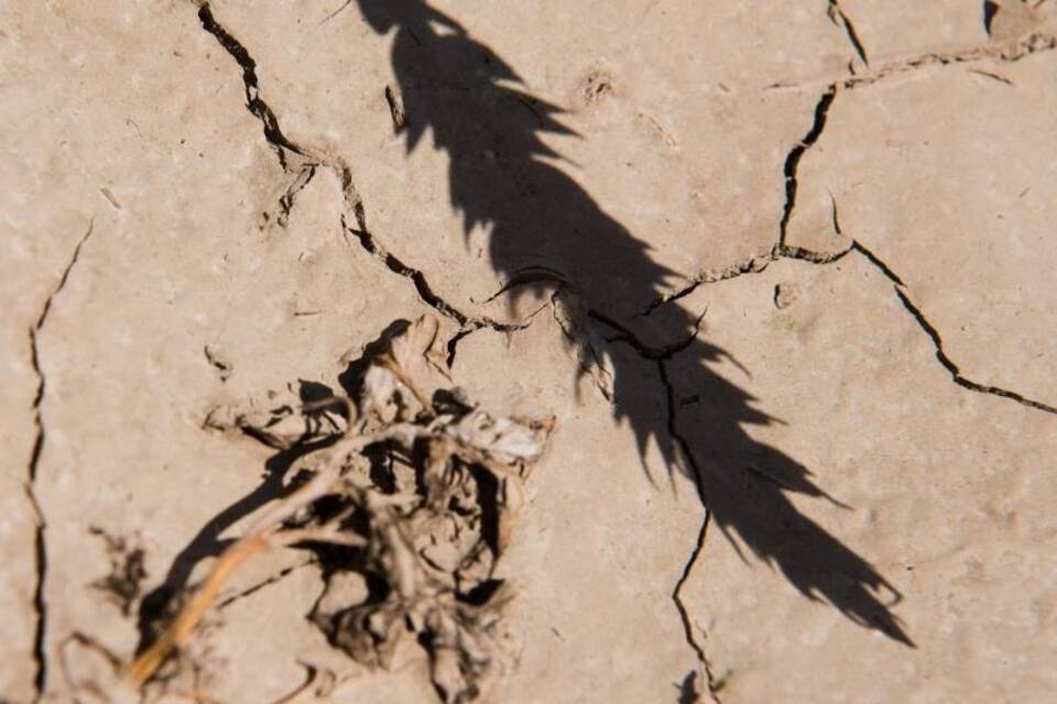 Klimakonferenz in Madrid