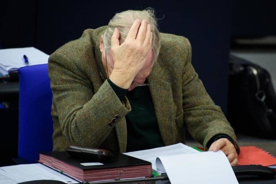 Gauland im Bundestag Gauland im Bundestag