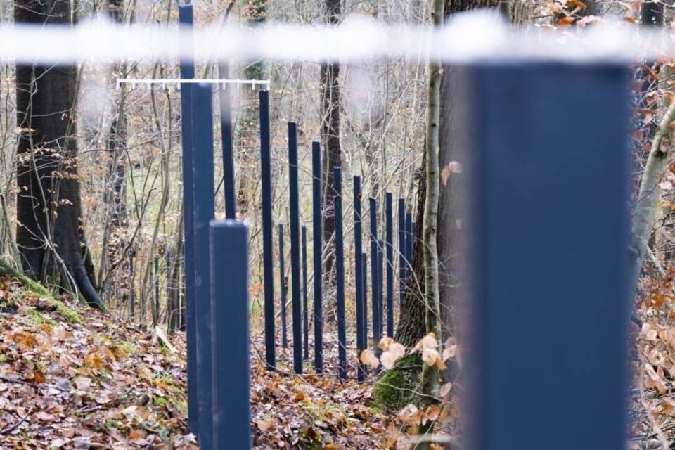 Zaunpfähle Zaunpfähle
