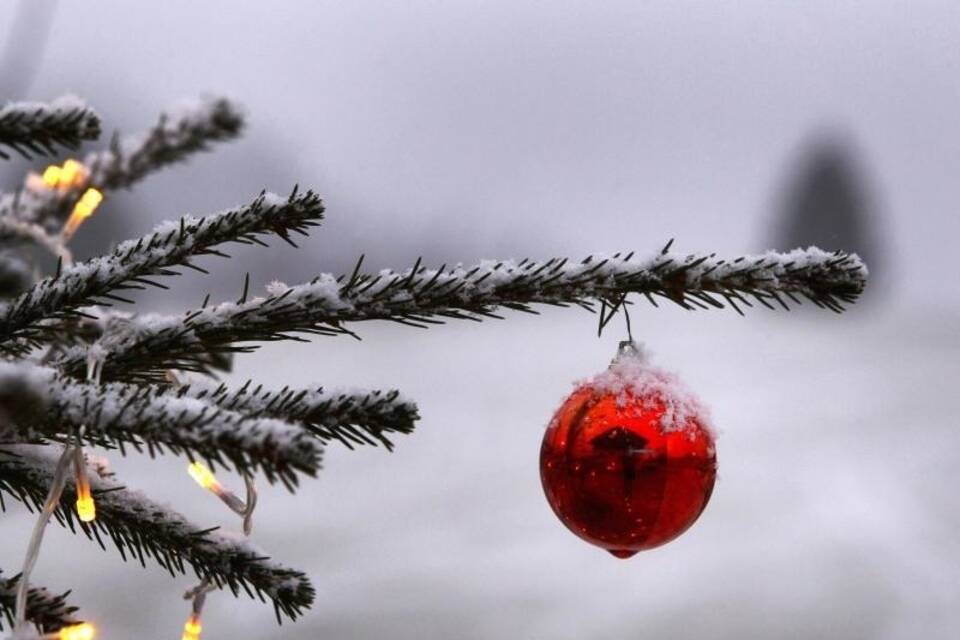 Weihnachtsbaum im Schnee