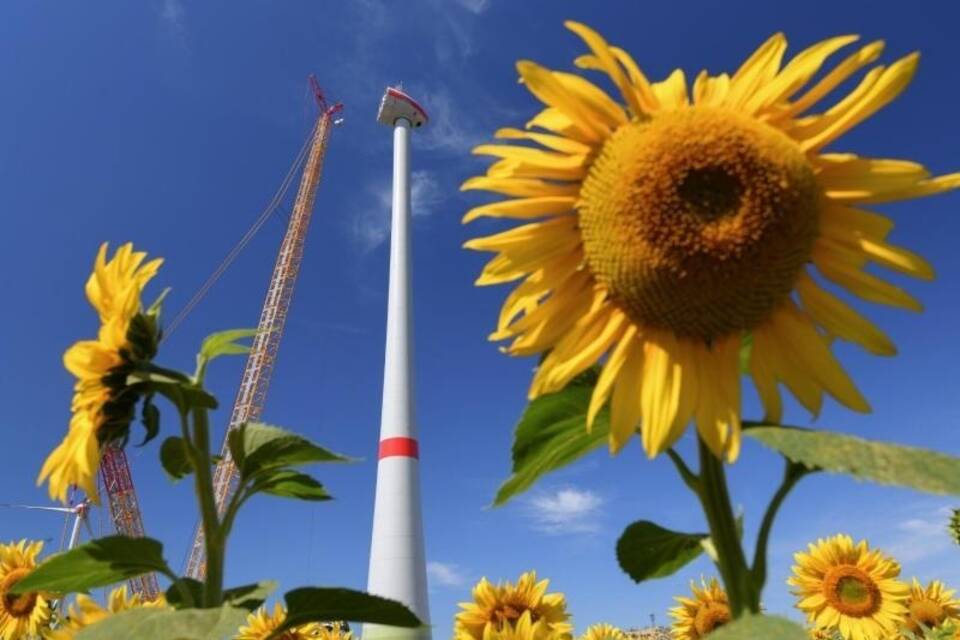 Windenergieanlage in Brandenburg Windenergieanlage in Brandenburg
