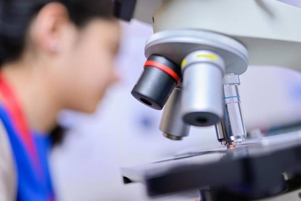 Rekordbeteiligung von Mädchen Rekordbeteiligung von Mädchen