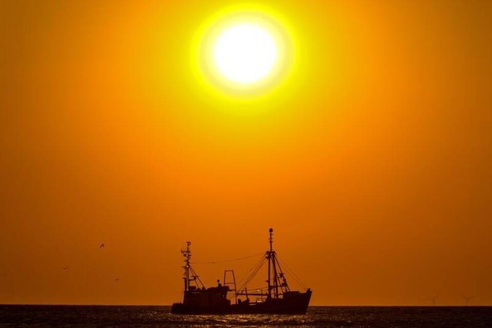 Fischerboot Fischerboot