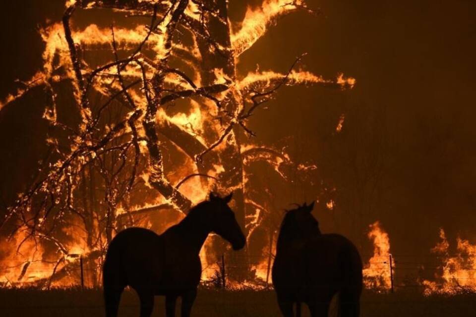 Feuer Feuer