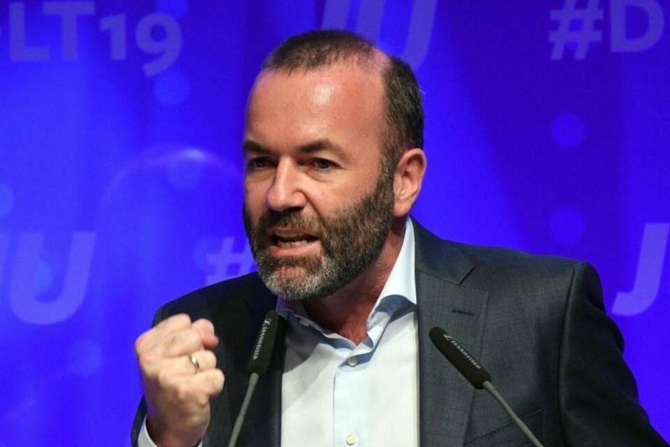 Manfred Weber