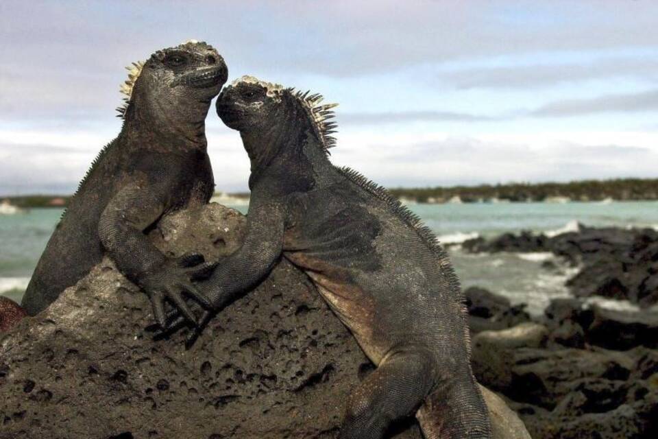 Galápagos-Inseln