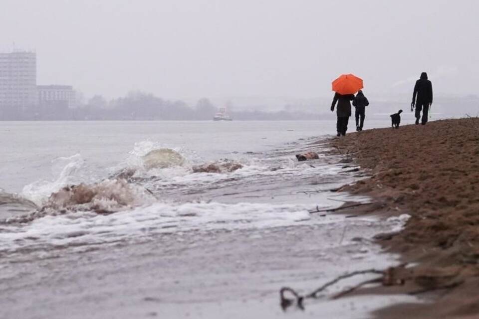 Nieselregen