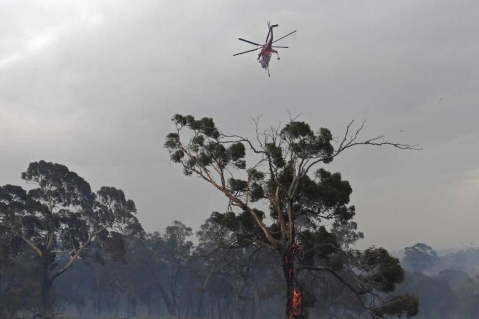 Buschbrände in Australien