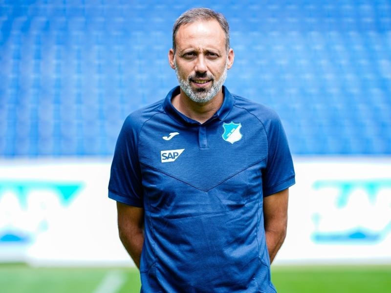 Aus Hoffenheim Nach Stuttgart Mathematiker Mit Zwei Passen Vfb Holt Matarazzo Als Coach 1899 Nachrichten Rnz
