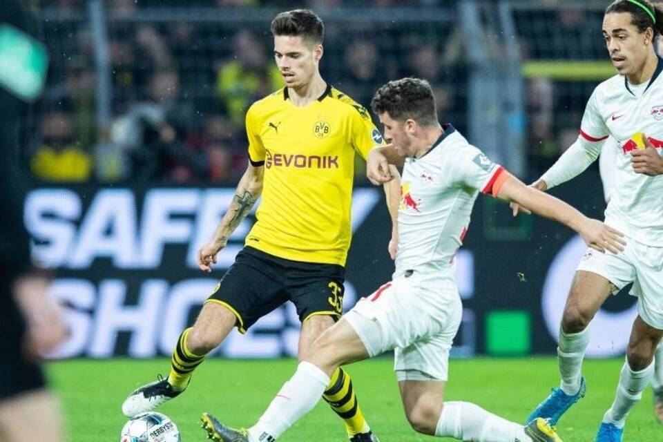 BVB-Profi