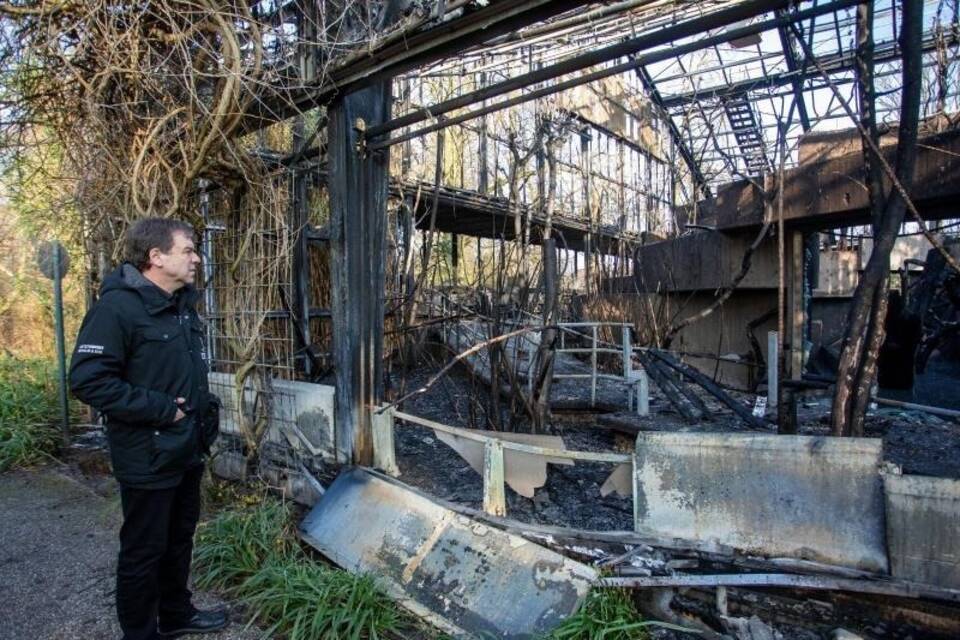 Überreste des Affenhauses Überreste des Affenhauses