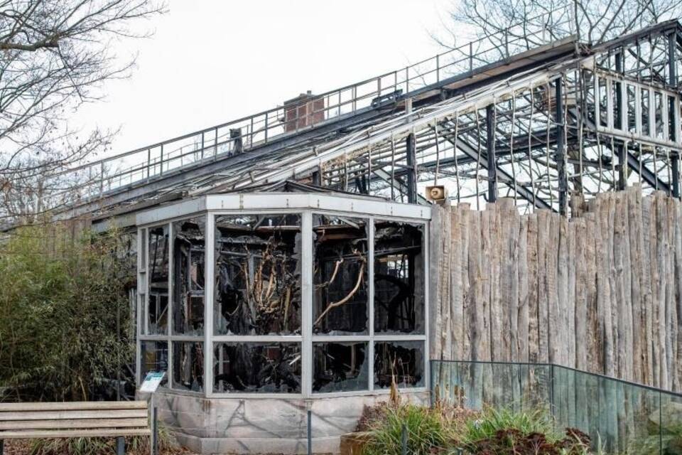 Nach dem Brand im Krefelder Zoo Nach dem Brand im Krefelder Zoo
