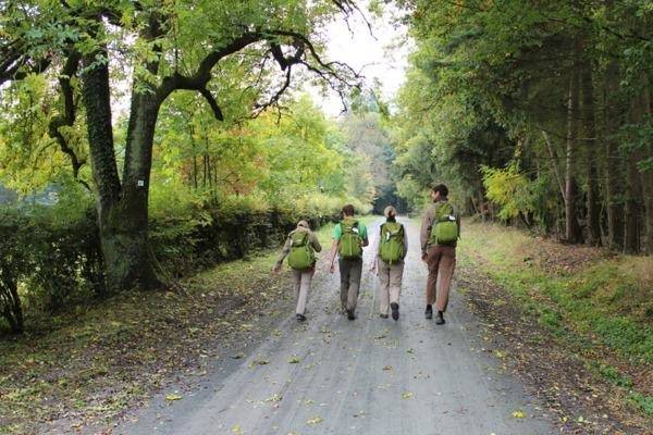 Single wandern taunus