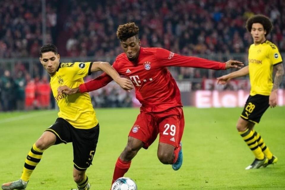 BVB-Profi BVB-Profi