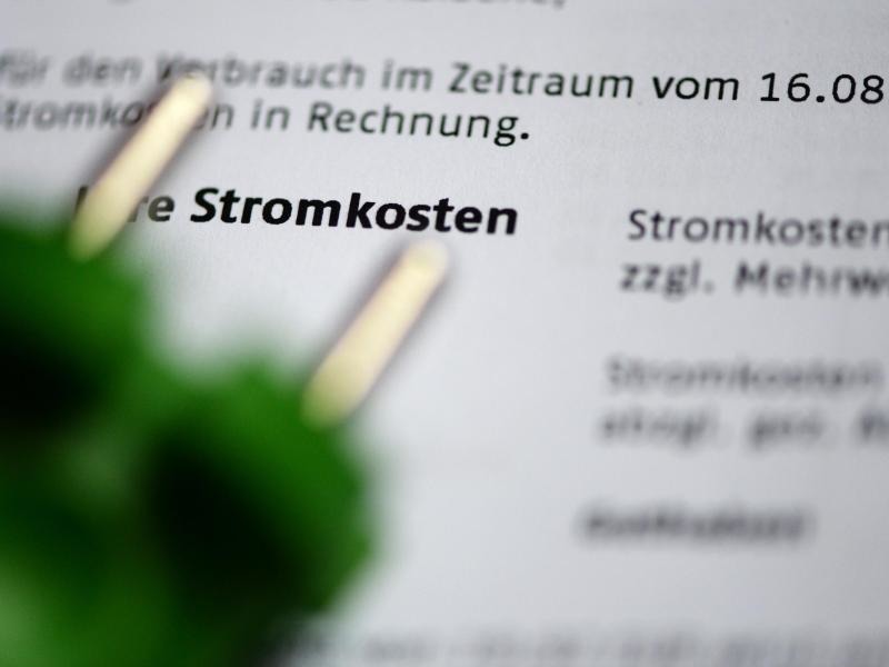 Single haushalte in deutschland 2020