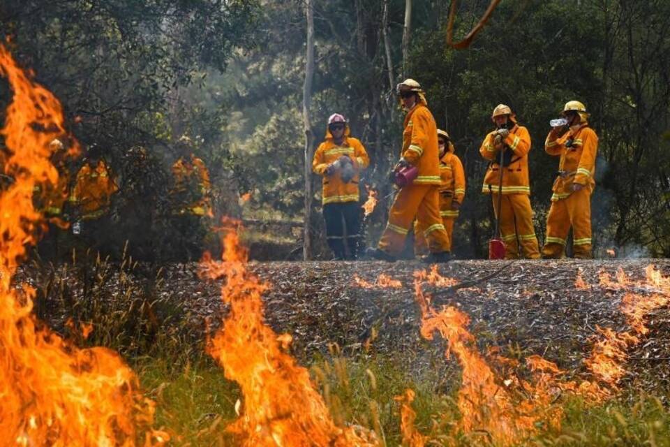 Buschbrände in Australien