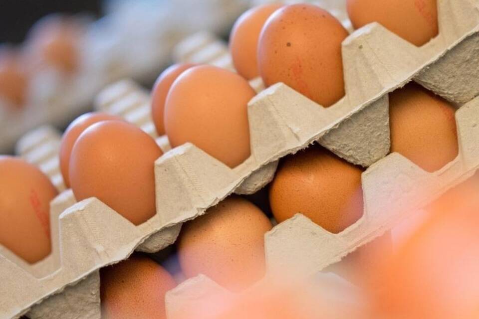 Eier Eier