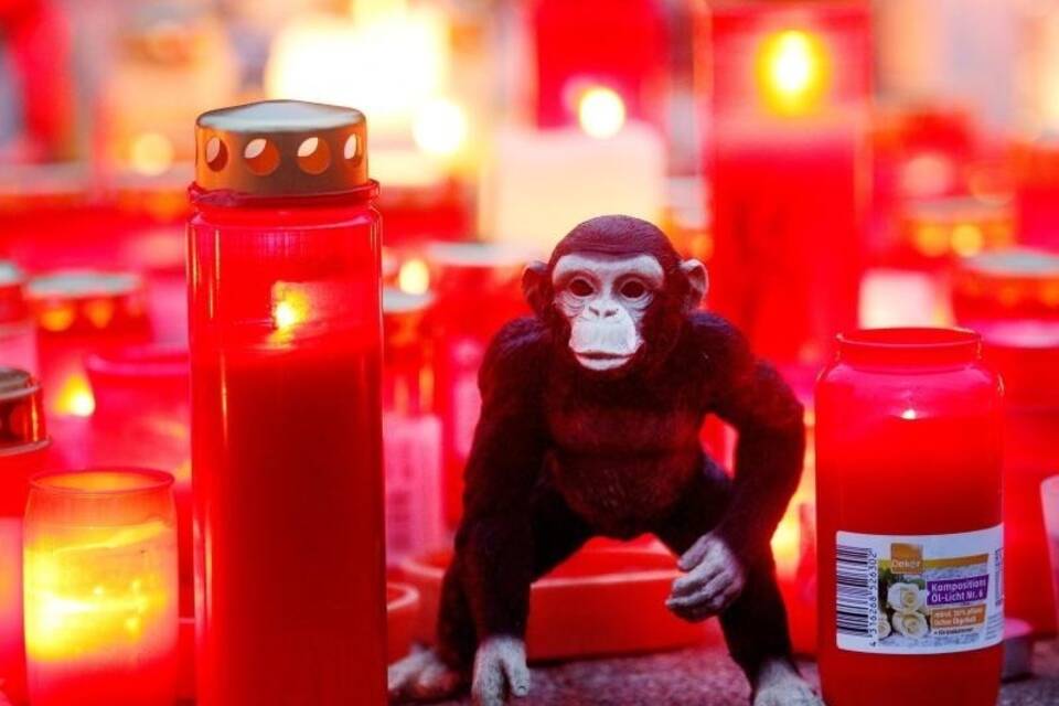 Nach dem Brand im Krefelder Zoo Nach dem Brand im Krefelder Zoo