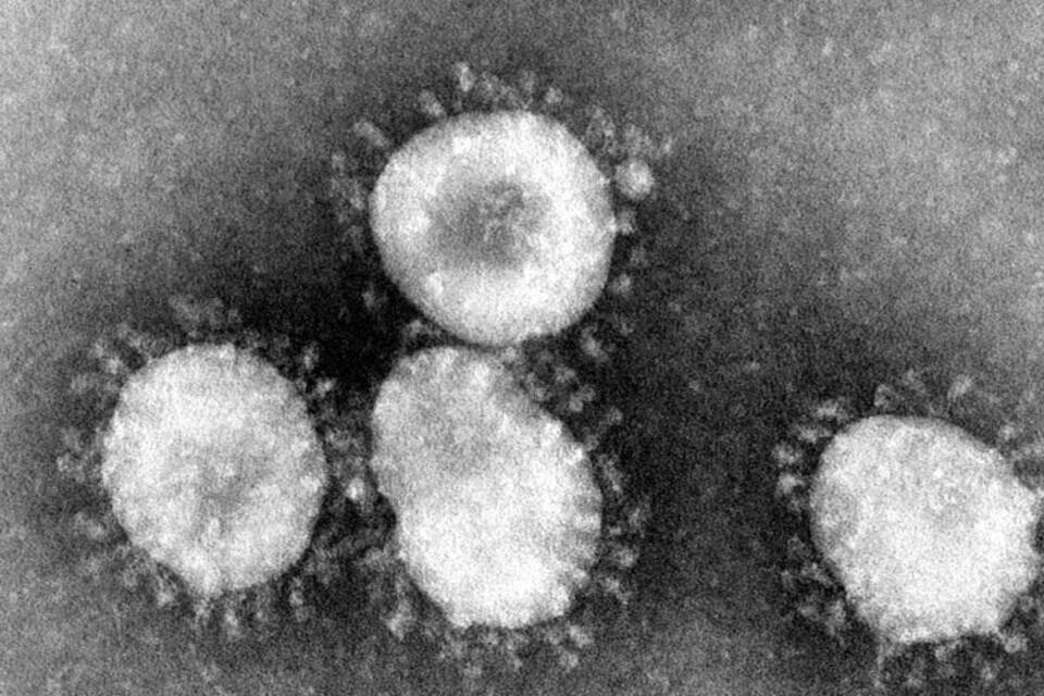 Coronavirus Coronavirus