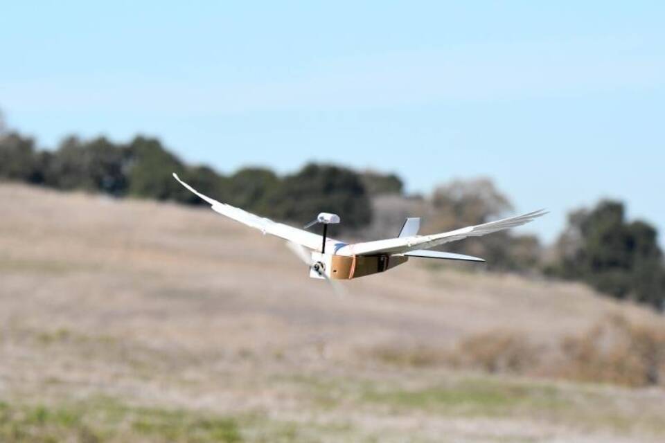 Roboter kann fliegen Roboter kann fliegen