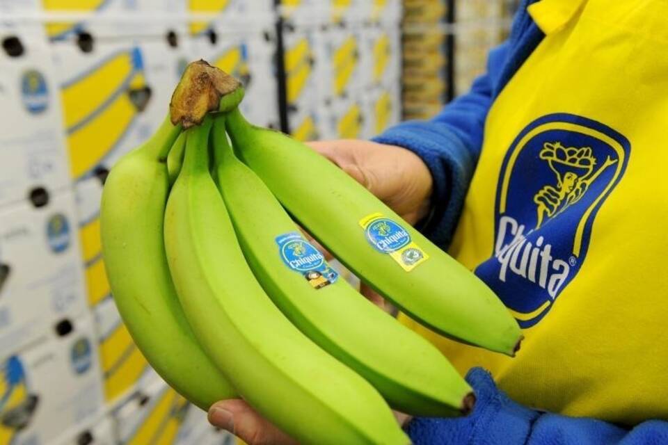 Kontrolle des Bananenumschlags