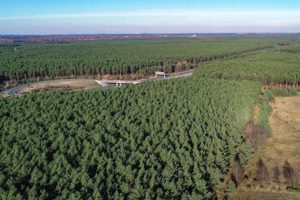 Geplantes Tesla-Gelände Geplantes Tesla-Gelände