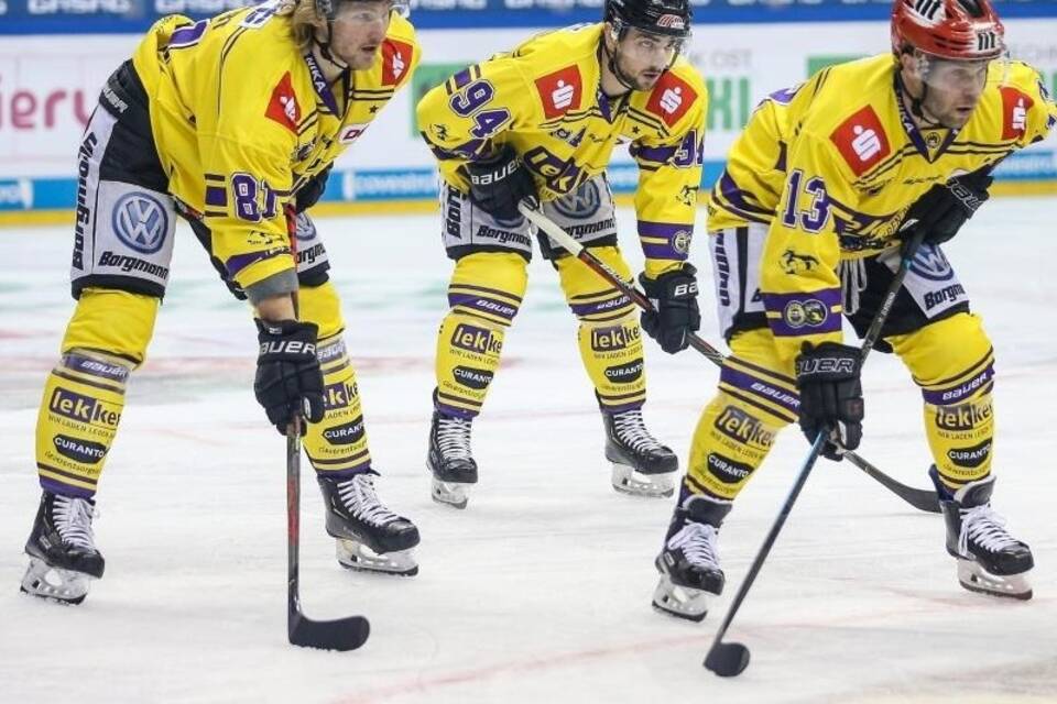 Krefeld Pinguine