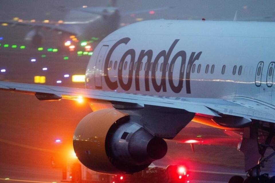 Condor Condor