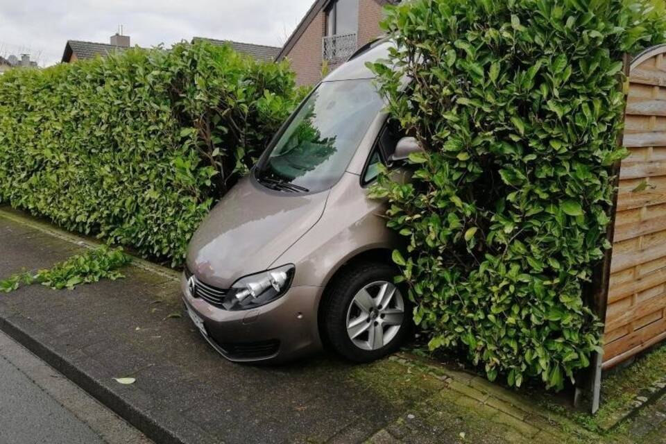 Mit Schwung in die Hecke Mit Schwung in die Hecke