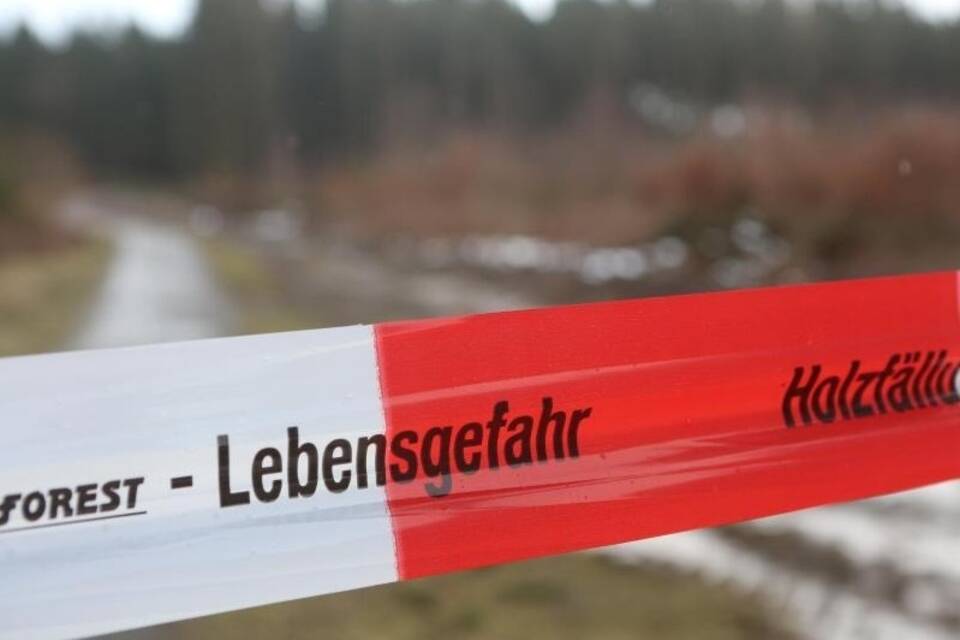 Nach Sturmtief «Sabine» Nach Sturmtief «Sabine»