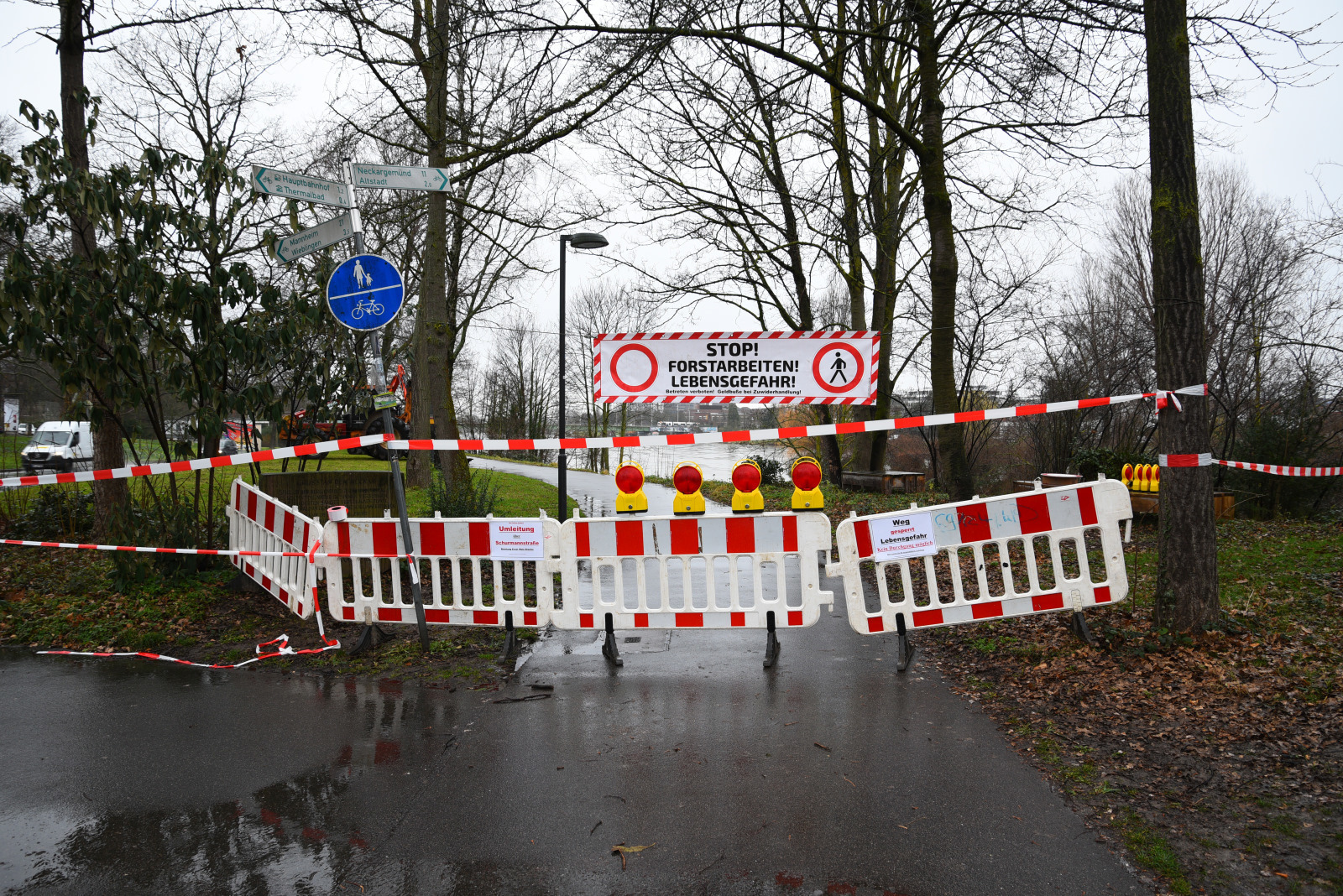 Heidelberg Biber Sorgt Fur Verschiebung Des Anbadens Pappeln
