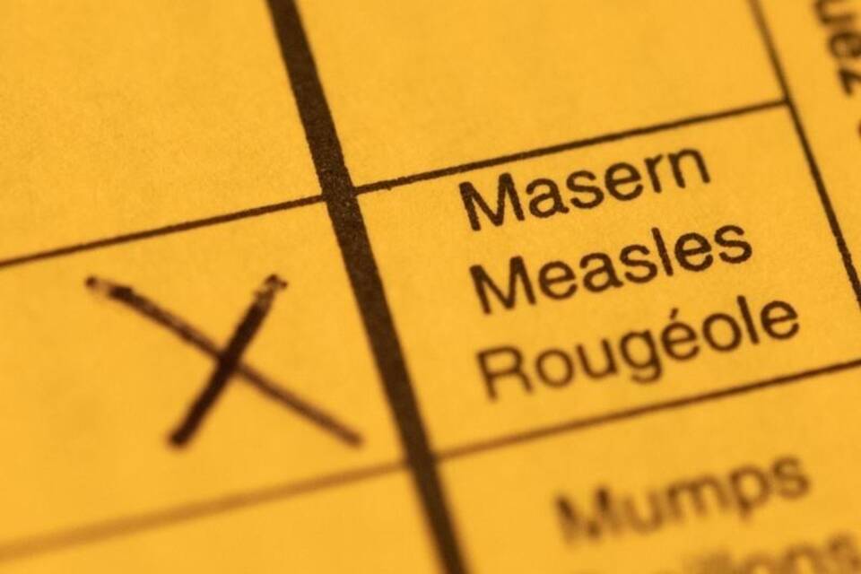 Impfpass mit Masern-Impfung Impfpass mit Masern-Impfung