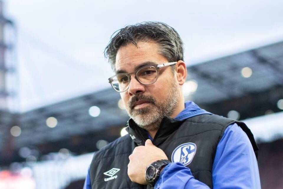 Schalke-Coach Schalke-Coach