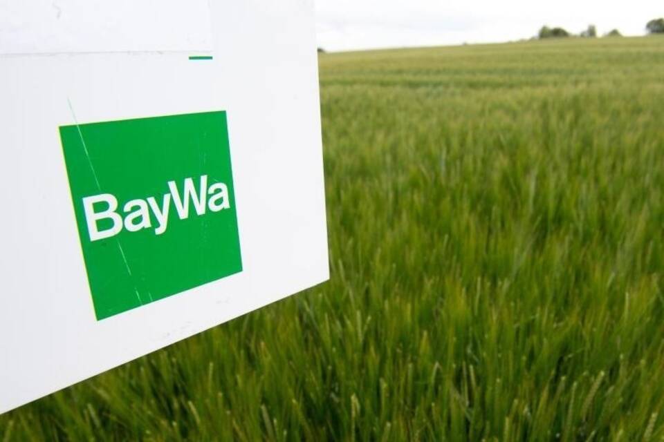 BayWa BayWa