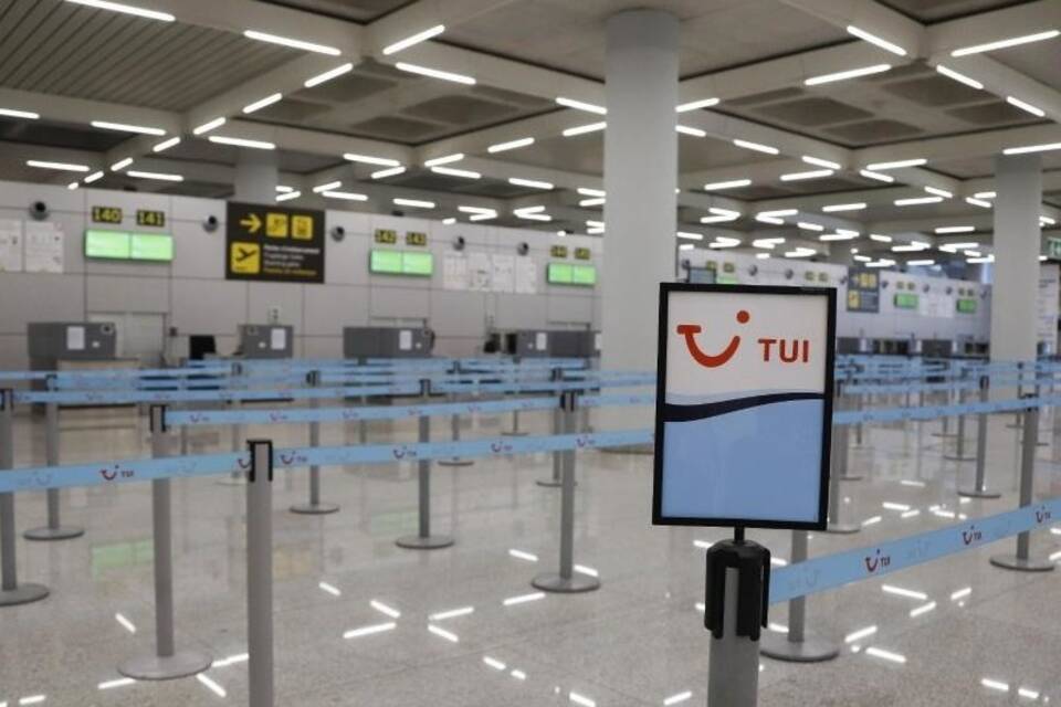 Tui Tui