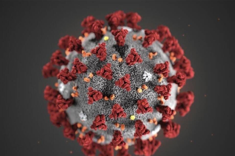 Coronavirus Coronavirus