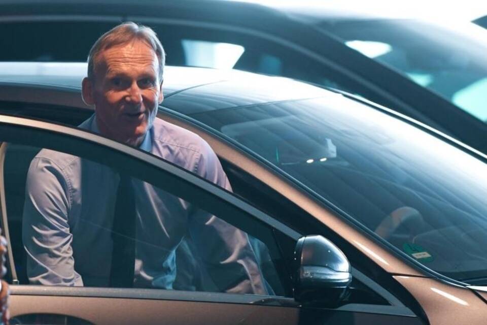 BVB-Boss BVB-Boss