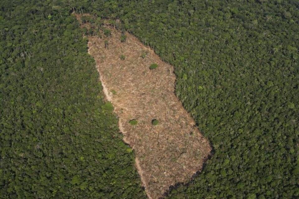 Amazonasgebiet Amazonasgebiet