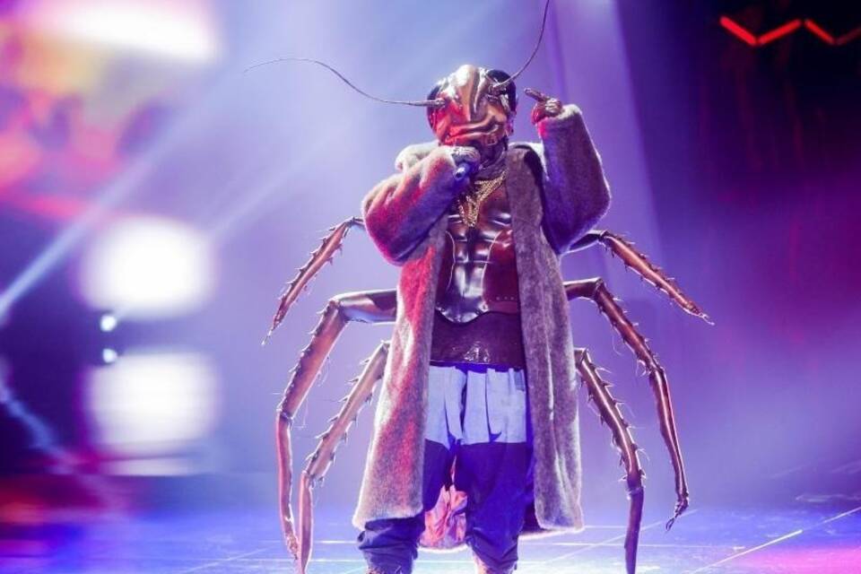 «The Masked Singer» «The Masked Singer»