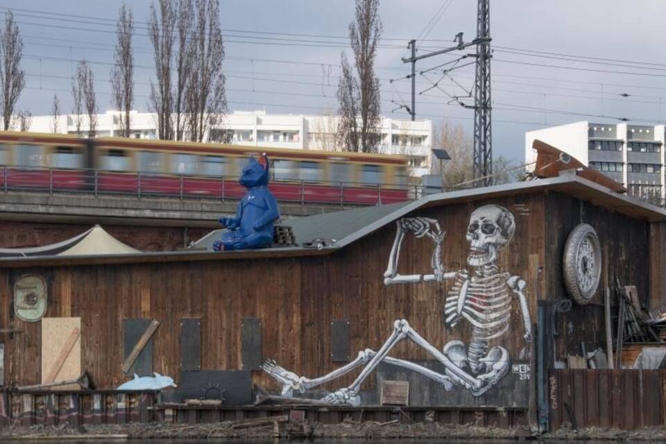 Kater Blau Kater Blau